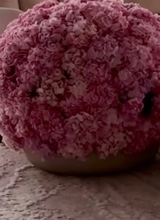 Guest_razan979385