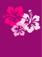 Guest_Misaakunna