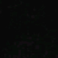 Guest_Catrina626309