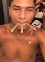 Guest_smoothAnt1