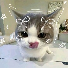 Guest_C4cha