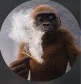 Guest_badboy300014