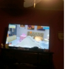 Guest_Aliyah398178