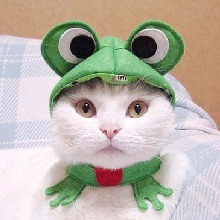 Mequi