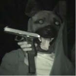 Guest_Taxxem