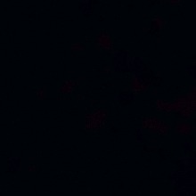 Guest_WL795022