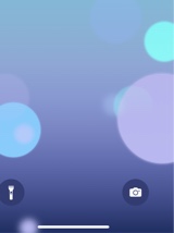 Guest_Ryan479918