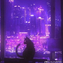 Guest_Blue835949