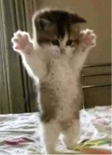 AWRR0N