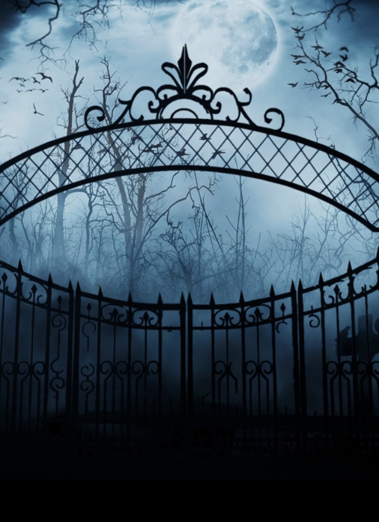 Guest_huskyxenonda35