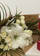 Guest_ElNoor
