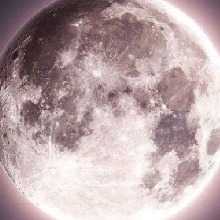 Guest_deluxee2