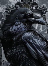 Raven70169