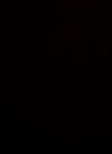 Guest_Maryam920532