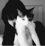 immagine avatar