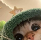 Guest_thatgurlDanie
