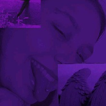 Guest_Milla696544