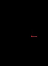 Guest_jay50253