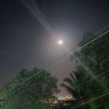 Guest_Misael197486