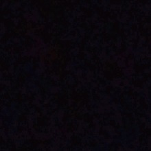 Guest_Pandbauwkdhaksjz