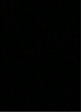 Guest_Brianna135299t