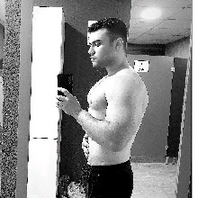 avpic