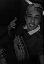 Guest_244naveia