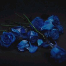 Guest_prettyalicia2002