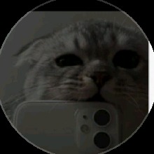 Guest_Ray909956