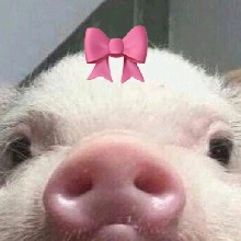 Guest_Keny121258