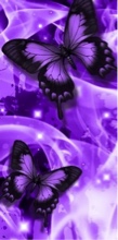 DarkThunder31