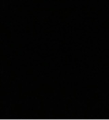 Guest_Amelia360511