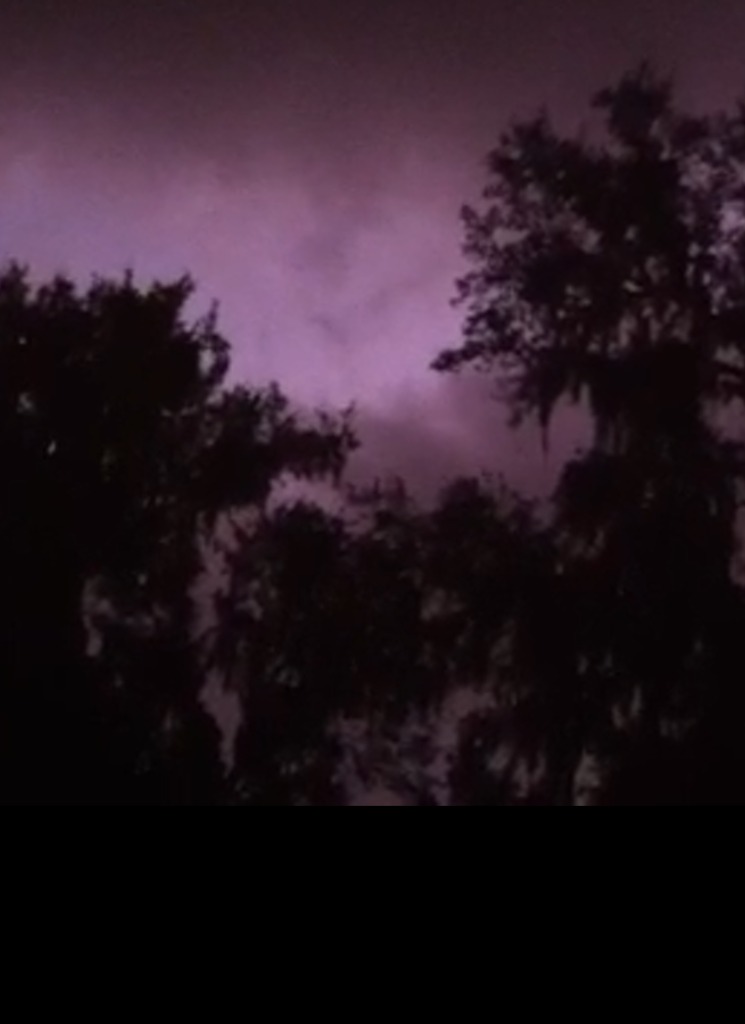 Guest_1176dark