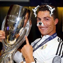 Pedro366619