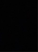 Guest_Osmar47