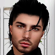 Guest_steadylightsalmo322e