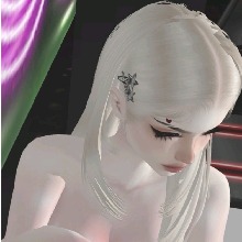 Guest_Kitti784608