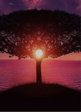 Guest_lexi425682