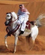 jabal5