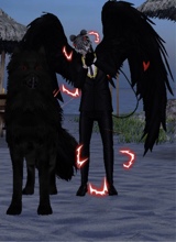 Guest_Alexander130091