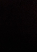 Guest_omgzayyy