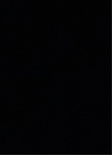 صورة الـavatar