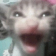 Guest_liarapunk
