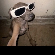 Guest_MatheuBanneh