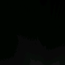 Guest_Matteoh1
