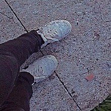 Guest_Larissa553984