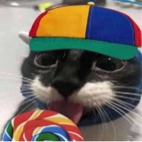 immagine avatar
