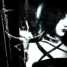 Guest_avanis1