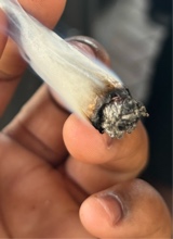 Guest_yourstrulyy18