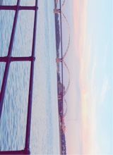 Guest_GabbyEdler